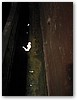 IMG_9421.JPG