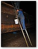 IMG_9458.JPG