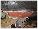 IMG_9508.JPG
