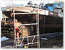 IMG_9519g.JPG