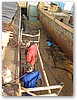 IMG_9528.JPG