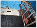 IMG_9538.JPG