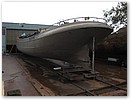IMG_9551.JPG