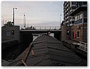 IMG_9590.JPG