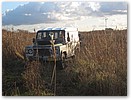 IMG_0516.JPG