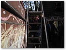 IMG_1508.JPG
