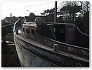IMG_1526.JPG