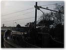 IMG_1529.JPG