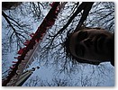 IMG_1550.JPG