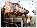 zDSC03387.jpg