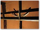 IMG_1249.JPG