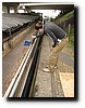 IMG_5150.JPG