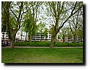P1040603.JPG