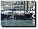 P1090044.JPG