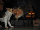 IMG_1023.JPG