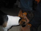 IMG_1025.JPG