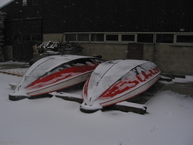 IMG_2825.JPG