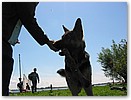IMG_6532.JPG