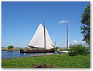 IMG_6537.JPG