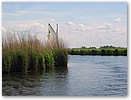 IMG_6541.JPG