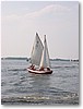 IMG_7271.JPG