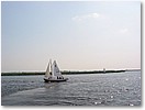 IMG_7277.JPG