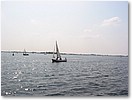 IMG_7279.JPG