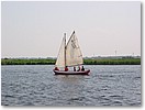 IMG_7281.JPG