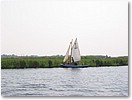 IMG_7284.JPG