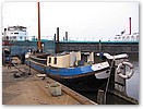 IMG_7102.JPG