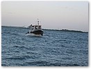 IMG_7660.JPG